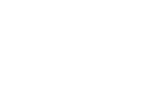 bunzl logo white